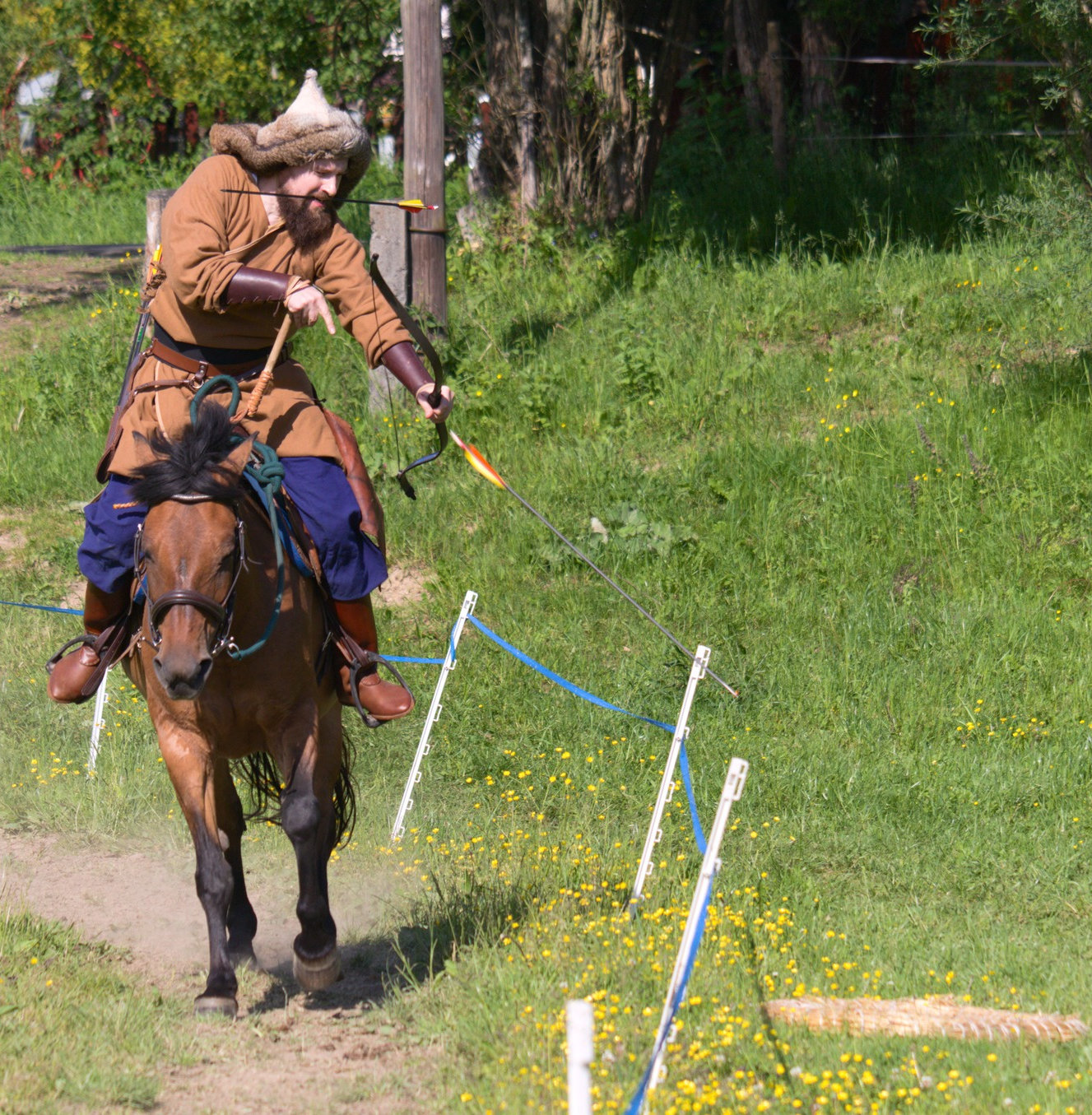 Lisowczykowe harce 2024